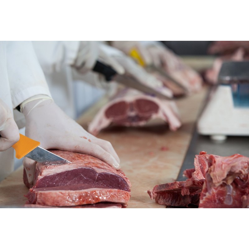 ULTRASOURCE - Boning Knife, 6" Straight/Stiff Blade, Polypropylene Handle