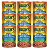 Bush's Best Mild Chili Beans - Pinto, 16 OZ (Pack