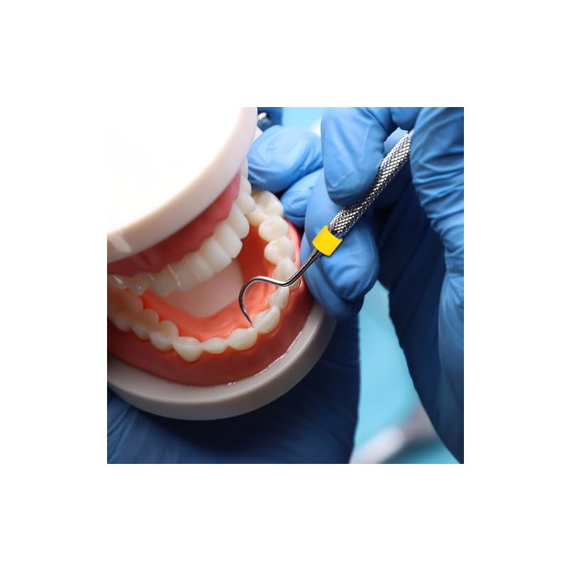 Healifty 160 anillos de código dental de silicona para instrumentos,