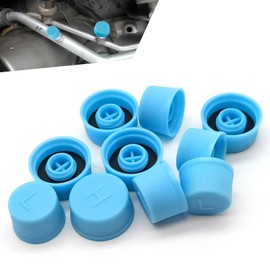 gunroil 10 PCS Car AC Dustproof Valve Covers, Universal for Most Cars (Blue)