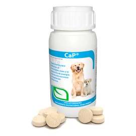 Ca-p Ruiland Vitaminas Minerales de Calcio y Fósforo Suplemento para Perros Frasco 60