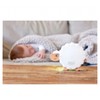 Hape Sleeping sheep Suse