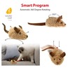 Gigwi Interactive Cat Toys for Indoor Cats, Cat Mouse Toys