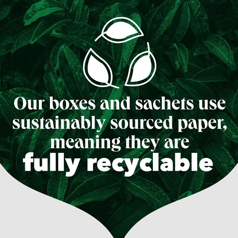 PG Tips | Raspberry Leaf Tea Bags Bulk | Individually