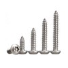 BOZONLI M4.8 Wood Screws, Tapping Screws, Torx Pan Head Self-Tapping