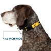 Buckle-Down Plastic Clip Collar - Bat Signal-3 Yellow/Black/Yellow - 1.5"