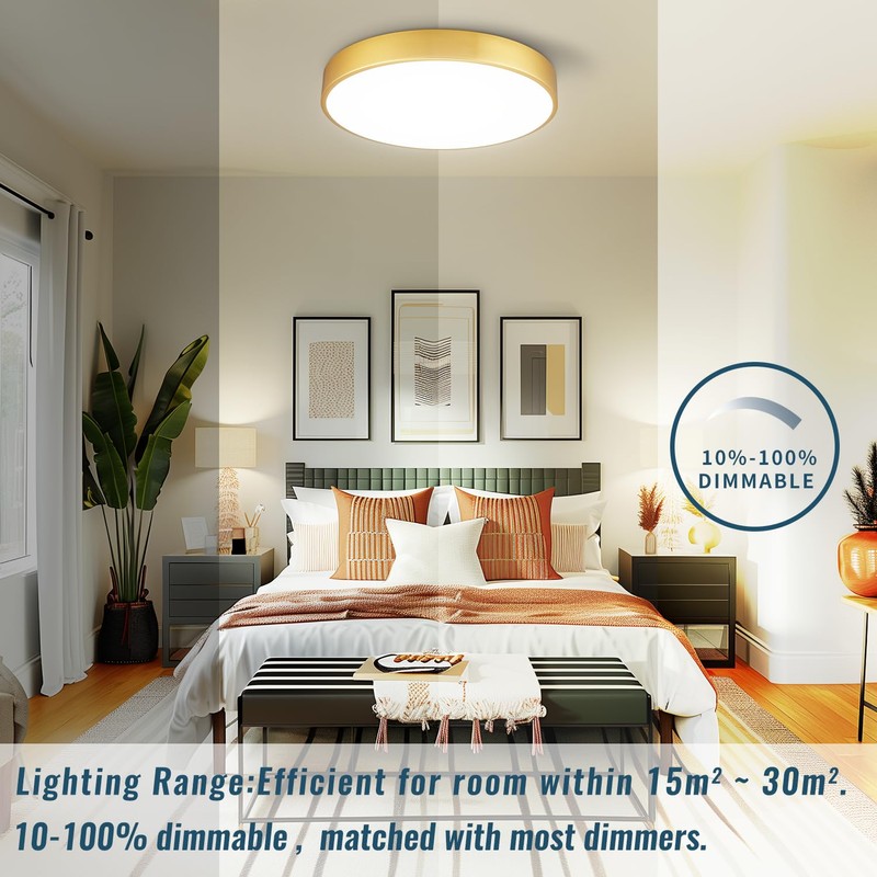 Wheatronic 2 Pack Gold LED Ceiling Light Fixture Flush Mount