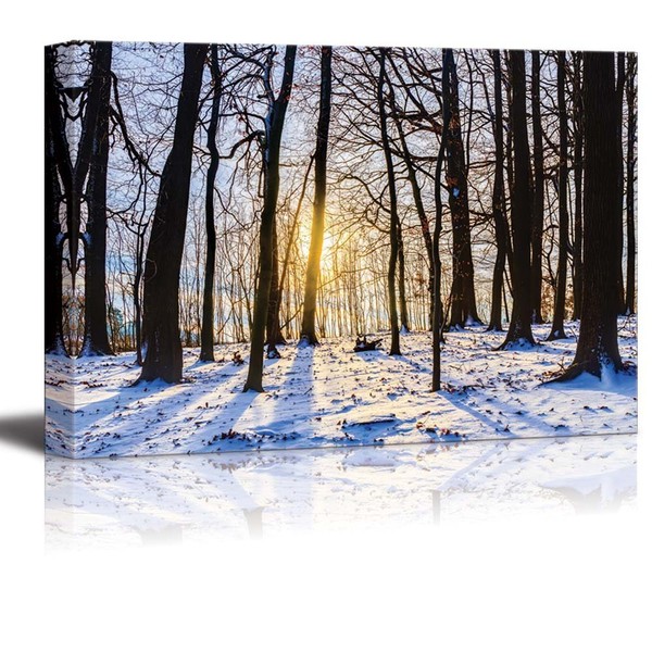 wall26 Winter Forest Sunset Lovely Blue Snow Color and Long