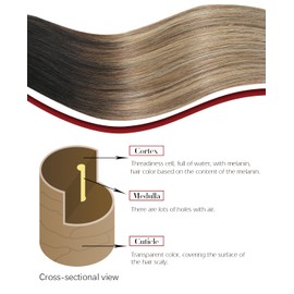 SAFIRENY Clip in Hair Extensions Real Human Hair, 14 Inch 140g,Natural Black Roots Chocolate Brown With Caramel Blonde, Clip On Hair Extensions 7pcs Per Set with 19 Clips(#1B/4/27,14")