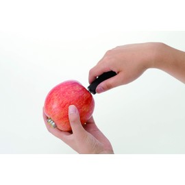 Endoshoji TKG BKTK802 Professional Kitchen Tool, Apple Core Remover with 8 Inch Polypropylene Handle, Metal Part Stainless Steel