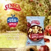 Seneca Original Apple Chips | Made from Fresh 100% Red