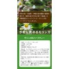 国産 モリンガ茶 1.5ｇ×60包 しまのだいち ノンカフェイン 無添加 無農薬 ティーバック マルンガイ 温活