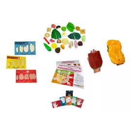 NutriGold Réplicas De Alimentos Kit 20 + Kit Prote + Grasa Y Musculo