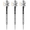 LEGEND DARTS | Steel Tip | 90% Tungsten | Pro