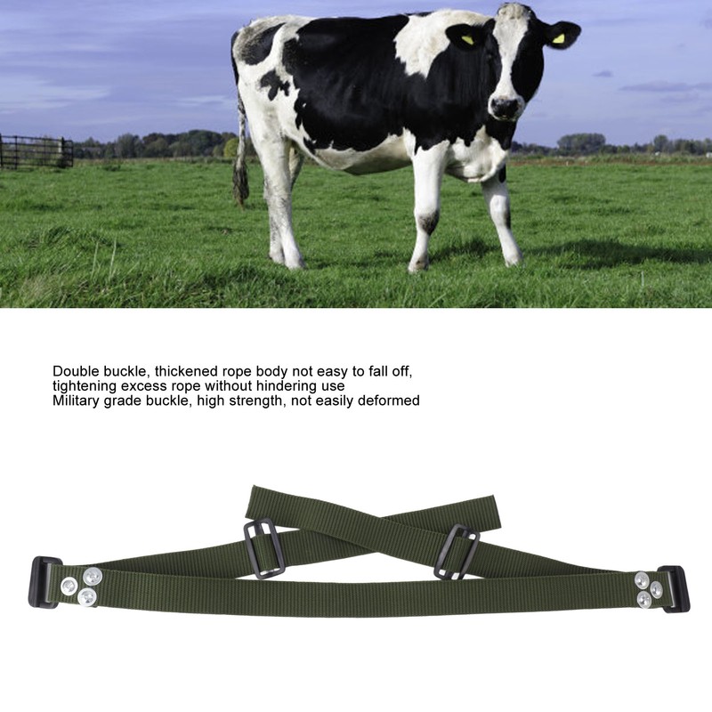 HL Q6PX Cow Anti Splitting Belt Nylon Sheep Anti Splitting
