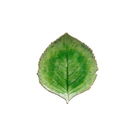 Costa Nova Ceramic Stoneware 9" Hydrangea Leaf - Riviera Collection, Tomate (Green) | Microwave & Dishwasher Safe Dinnerware | Food Safe Glazing | Restaurant Quality Serveware