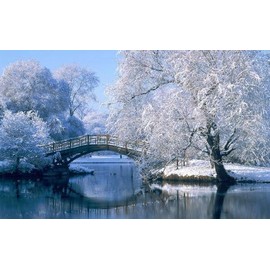 NorthWood Distributing Winter Morning - Premium Fragrance Oil for Soap, Diffuser, Candle Fragrance Oil, Lotion, Body Scrub, Body Butter, Aromatherapy - 1 Fl Oz