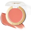 FOCALLURE Lush Flush On Cream Blush,OR02 My Lmmature