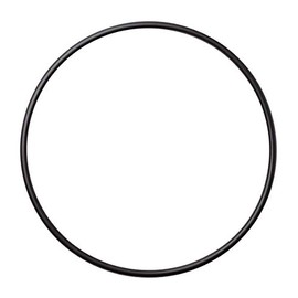 AO Smith AO-WH-LG-OR - Whole House Water Filter O-Ring 5.48 Inch 14 Cm Diameter Fits Most Housings Made for 4.5 Inch Filters
