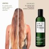 Lazartigue Repair Shampoo For Women 8.4 oz Shampoo