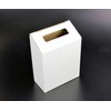 Pos Display Shop Small CardBoard Suggestion Box - flat pack