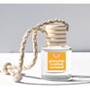 Scented Car Freshener Diffusers Air Fresheners (SELECT YOUR SCENTS):_Midnight Ice