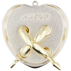 Hanayama The cast Caused Amur Difficulty Level 5