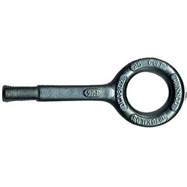 fischer M16 Scaffold Anchor, 53mm Eye, 1 Piece, 42896