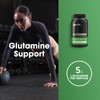 Optimum Nutrition L-Glutamine Muscle Recovery Powder, 300g, Unflavored, 58 Servings