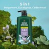 Gel De Baño Irish Spring 5 En 1 Para Hombres