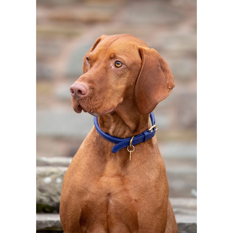 Shires Rolled Leather Dog Collar Medium/Large Black