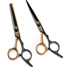 Parkjun Beauty Lab Premium Home Care Thinning Beauty Scissors (1) / 박준뷰티랩 프리미엄 홈케어 틴닝 미용가위 1개