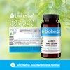 LEBER Kapseln mit Mariendistel & Cholinbitartrat – Mit Cholin zur