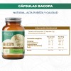 Bacopa Adaptógeno 120 Cápsulas Suplemento Natural Vegano Sabor Sin Sabor