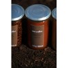 Alain Milliat Apricot Bergeron Jam, 10.6 Oz, (One 300g Glass
