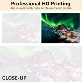 TISHIRON Adult Paint by Numbers, Aurora Landscape DIY Painting by Numbers for Adults, Iceland Painting by Numbers with Brush and Acrylic Pigment, Frameless Crafts for Adults, 16 x 20 Inches