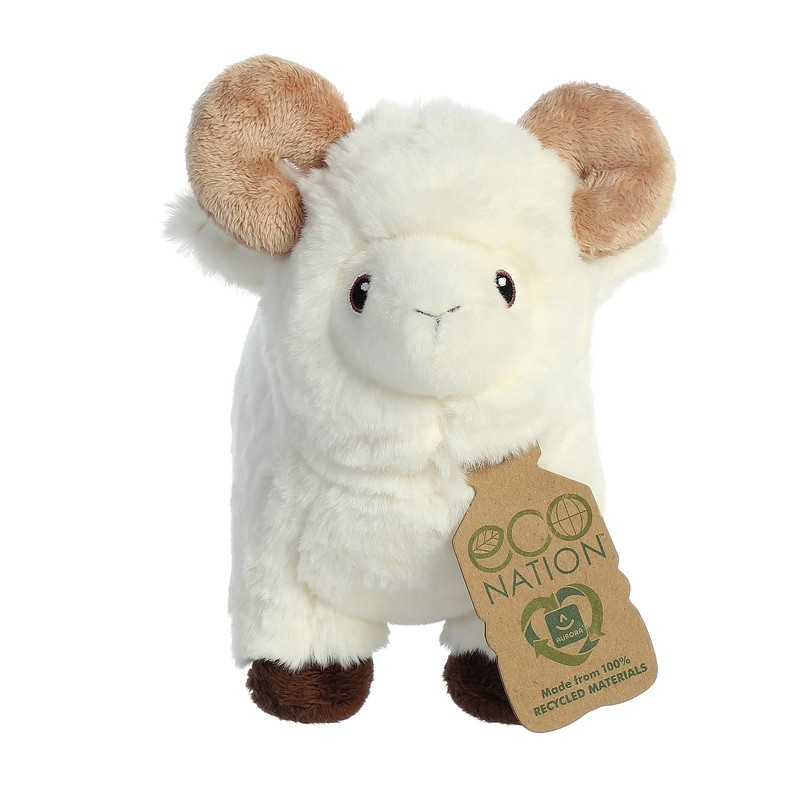Aurora - Eco Nation - Ram - 20.32cm.