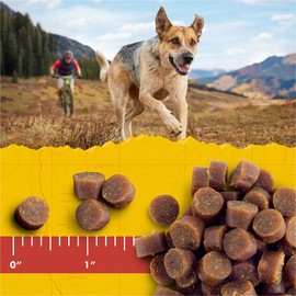 Zukes Mini Naturals Dog Training Treats for Dogs, Pet Treats Made with Real Salmon - 10 oz. Pouch