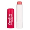 Vaselina Rosy Lips Hidratante de Labios con Color Rosy Lips