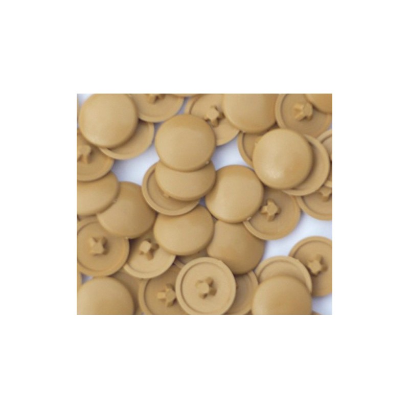 Cover Caps for Phillips PZ 2 Screws Light Oak Pack