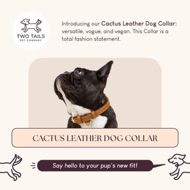 Two Tails Pet Company Cactus Leather Dog Collar - Eco-Friendly, Stylish, Easy-to-Clean Pet Collar with Gold Hardware, D-Rings for Leash & ID Tag (Medium, Caramel)