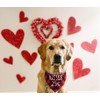 Dog Valentines Day Scarf, Plaid Pet Bandana Triangle Bibs Kerchief