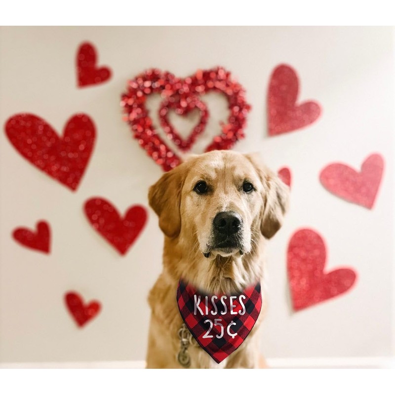 Dog Valentines Day Scarf, Plaid Pet Bandana Triangle Bibs Kerchief