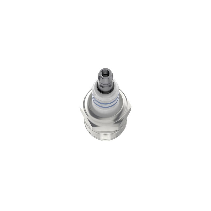Bosch W9EC0 (609) Spark Plug for Garden Tools - Pack