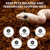 ReptiEarth Fine Reptile Bedding Compressed Block Expands to 72 Quarts