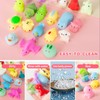 Nestling Mini Animal Squishy Pack - 21 Pieces Soft Fidget
