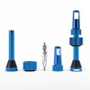PMP Tubeless MTB Valves Universal: Conical Base, Tool-free Use, Core