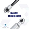 X AUTOHAUX 2pcs 8inch 320N/71Lbs Gas Struts Shocks Lift Supports