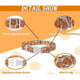 Fall Dog Collar, 2 Pack Autumn Collar for Medium Dogs, Cute Maple and Pumpkin Dog Collars for Boy Girl Dogs Thanksgiving