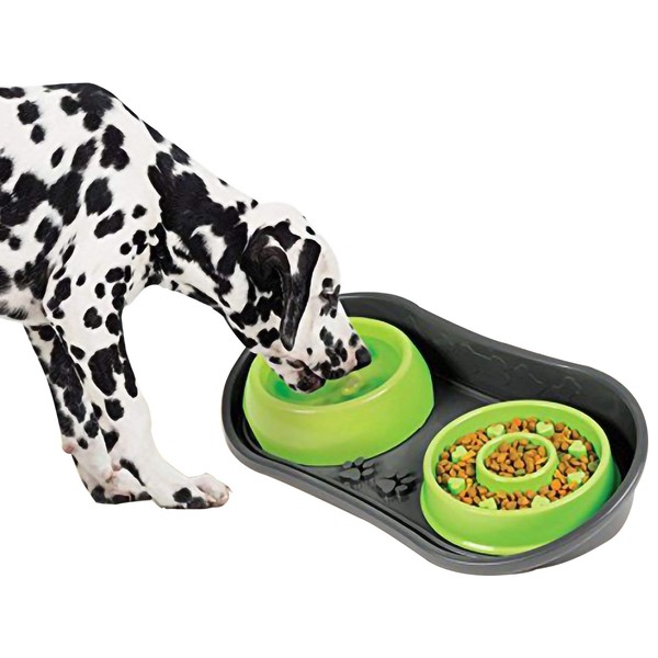 Because of Paws Non-Skid Pet Bowl Tray - with 2 Slow Down Bowls Set - For Small to Medium Dogs - Protects Floor from Food and Water